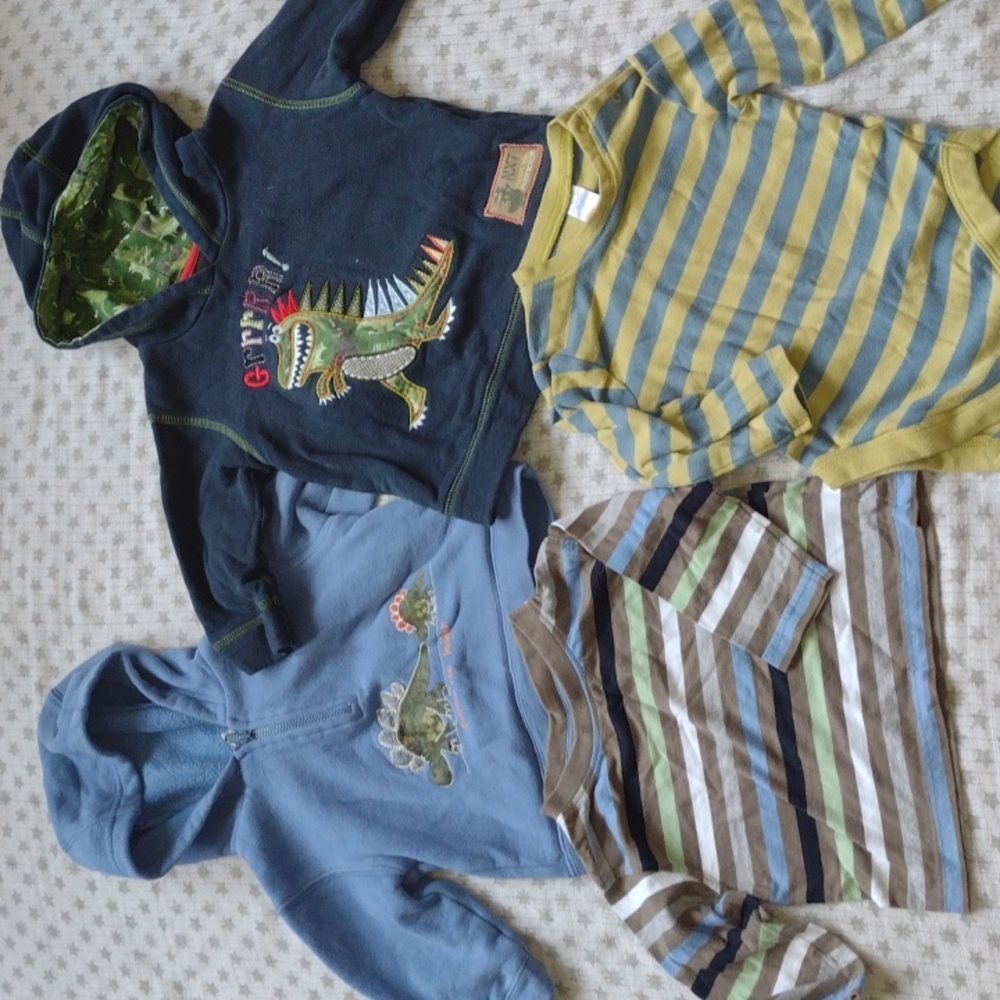 Dinosaur Hoodie Bundle with TWO Bonus Long-Sleeve Shirts 🦖